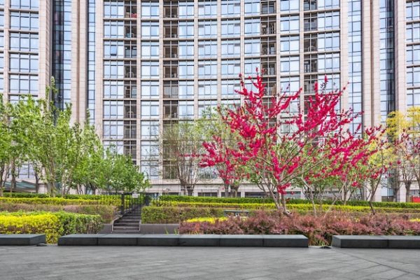 Tips for Easy Dusit Hotel reservations With Updated Accommodation Info