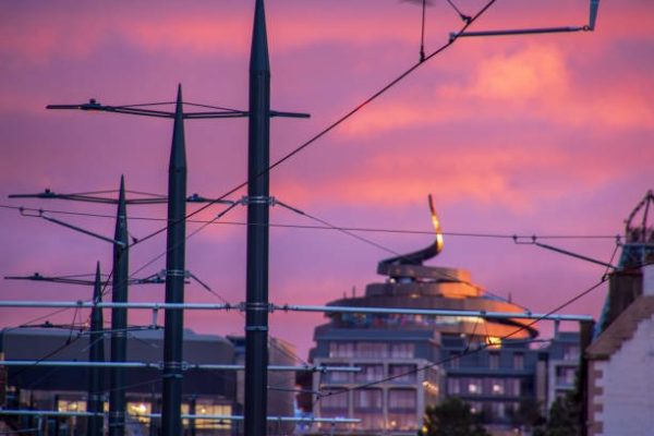 Skyline Orthopedics Comprehensive Orthopedic Services Near You