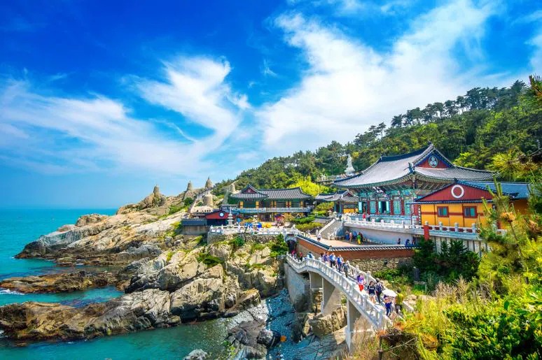 Must-See South Korea Latest Attractions This Year