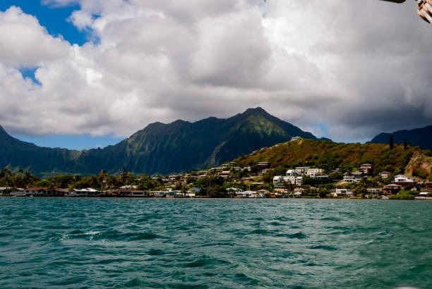 Family-Friendly Activities at the Kaneohe Bay Sandbar