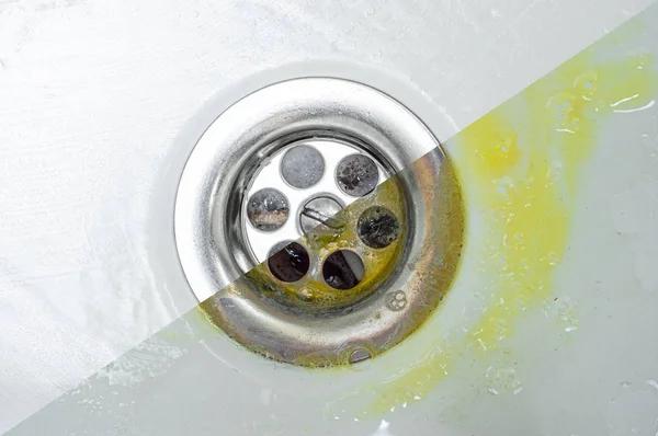 Affordable Drain Cleaning Companies Severna Park Services