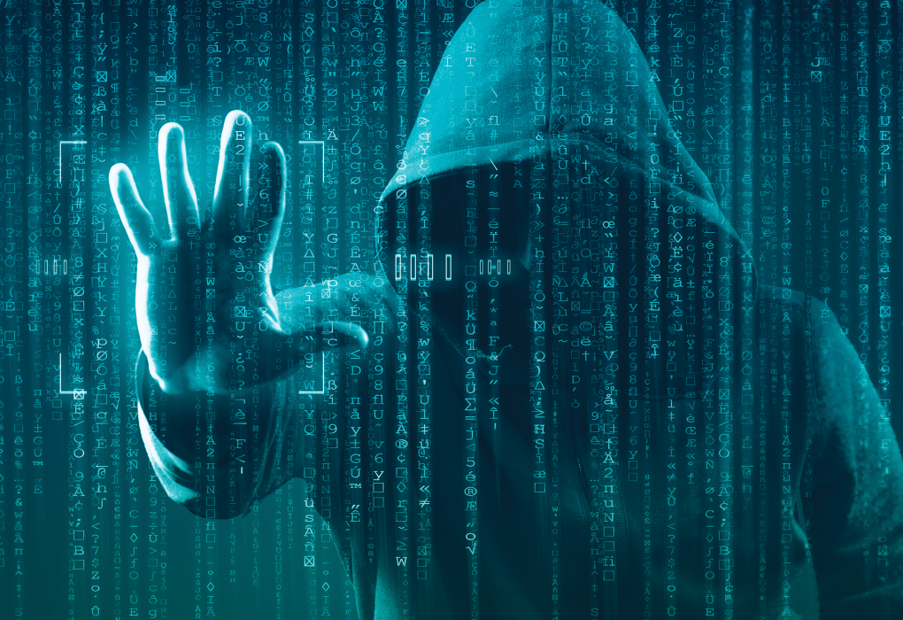 Monitor Darknet Network Health with Updated Statistics