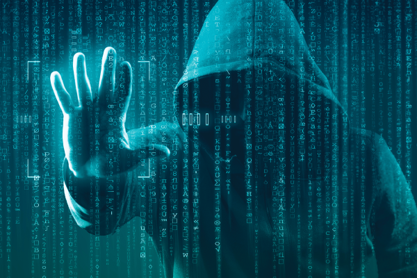 Monitor Darknet Network Health with Updated Statistics
