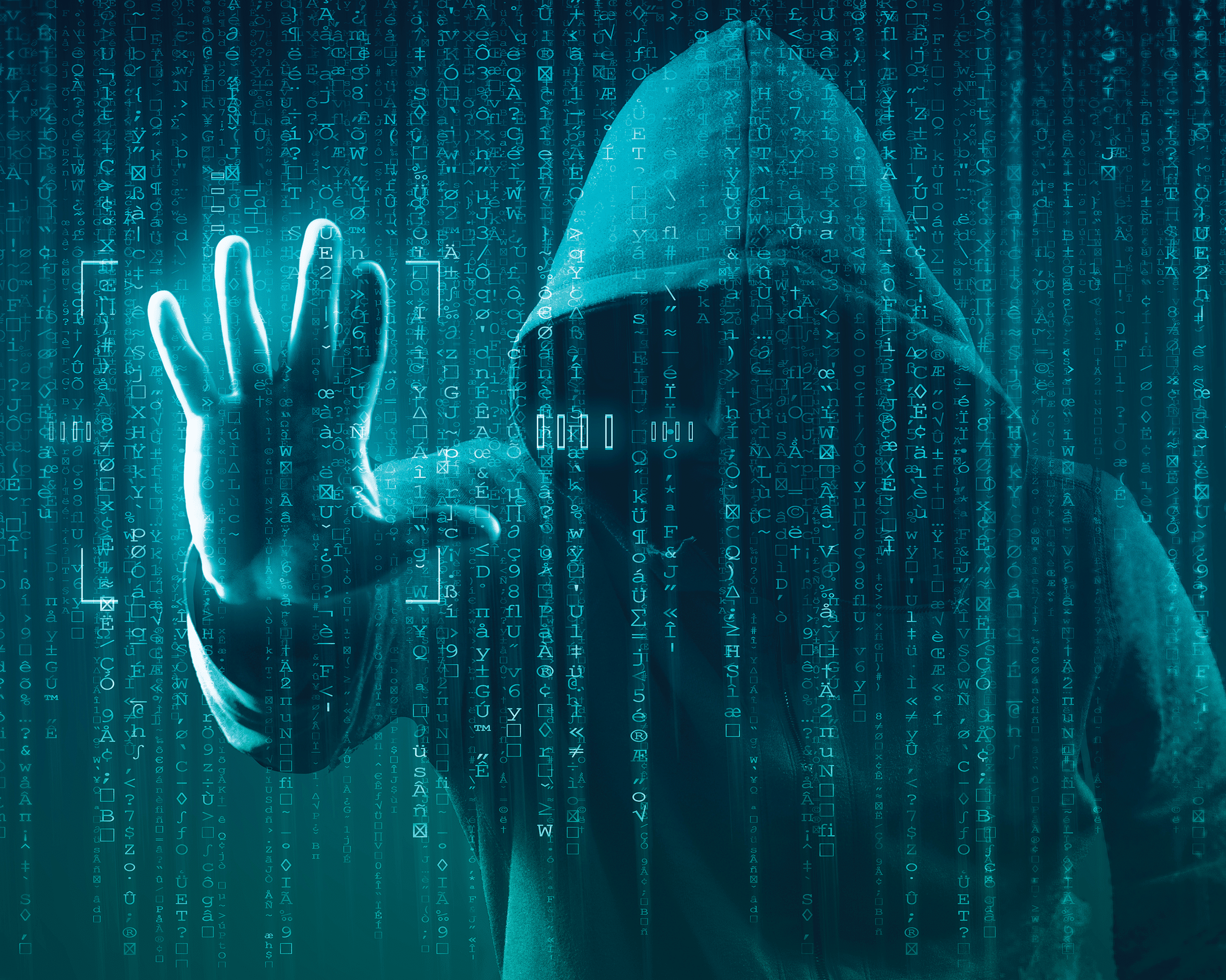 Monitor Darknet Network Health with Updated Statistics